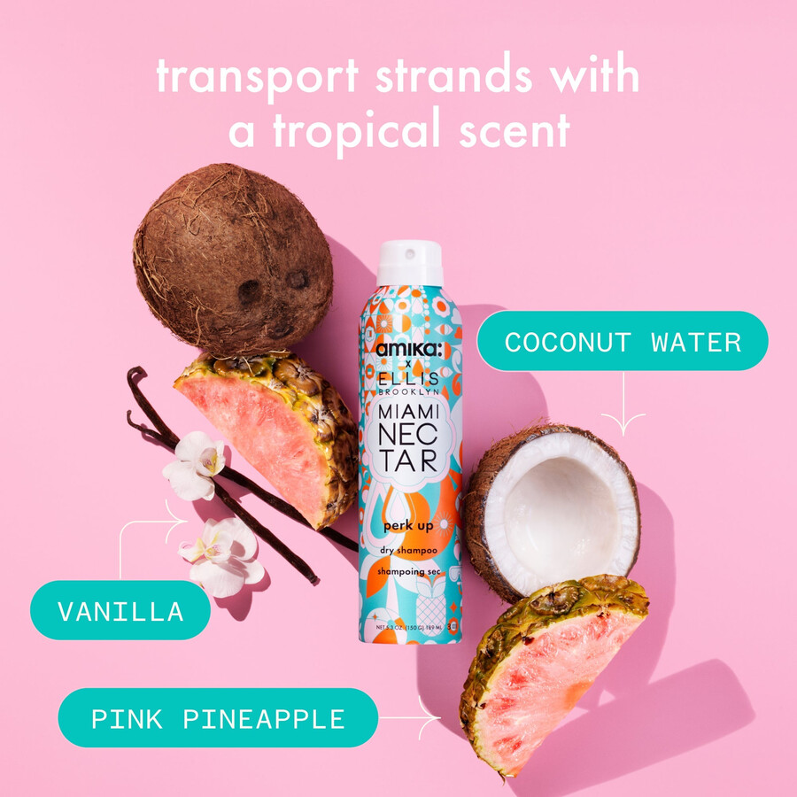 perk up trockenshampoo paradise duo