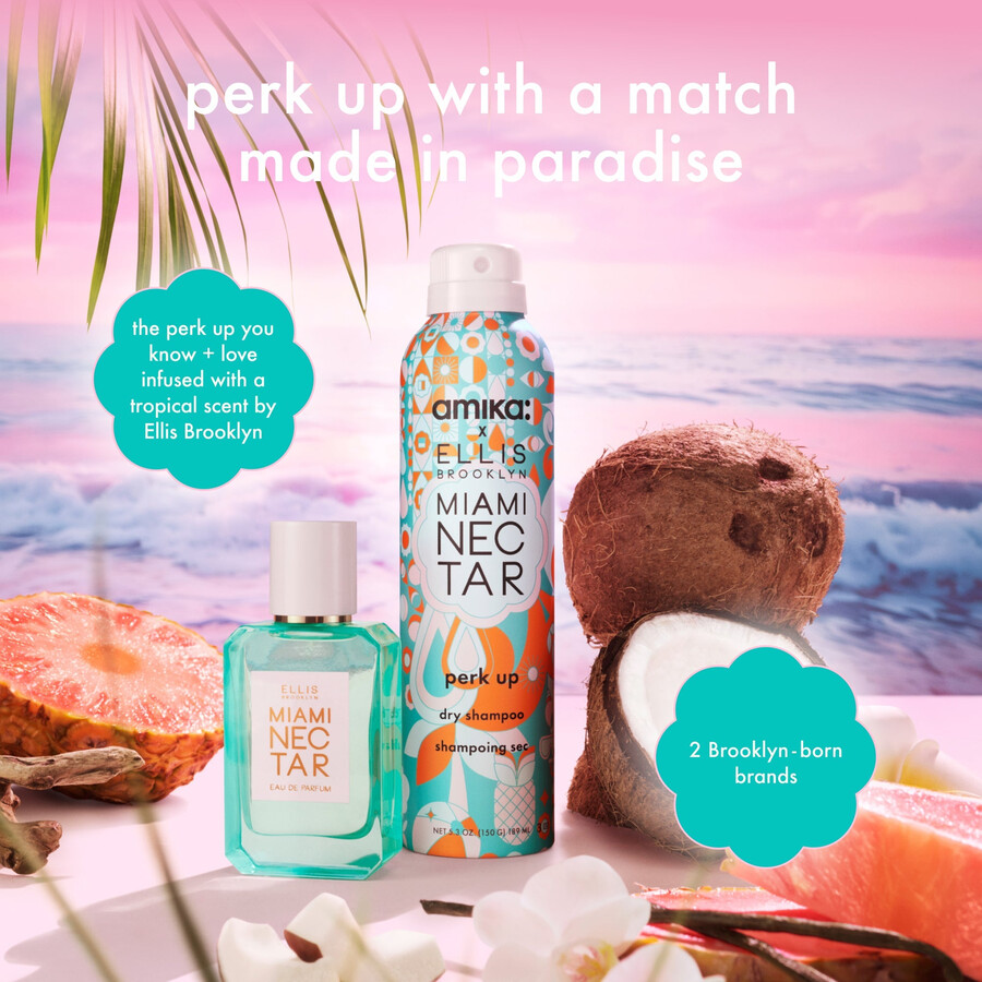 perk up trockenshampoo paradise duo
