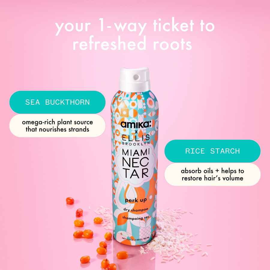 perk up trockenshampoo paradise duo
